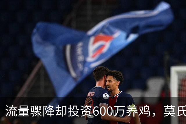 流量骤降却投资600万养鸡，莫氏鸡煲选择逆势而行